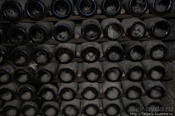 По маршрутам Шампани: Дом Мадам Поммери