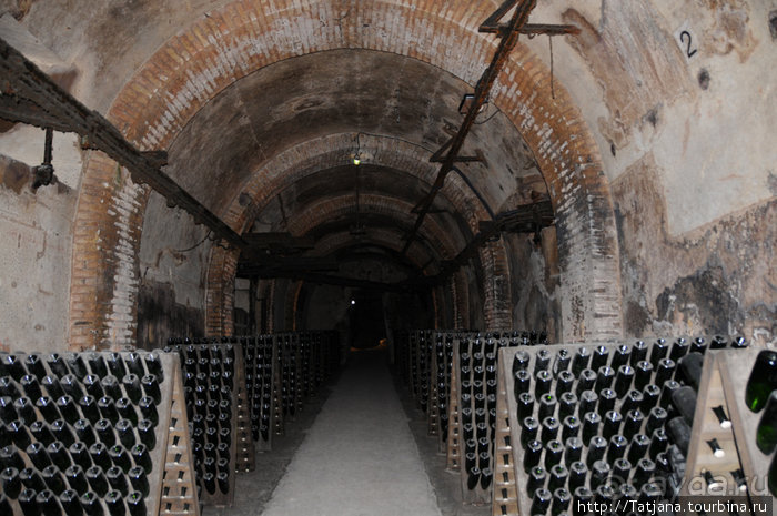 По маршрутам Шампани: Дом Мадам Поммери