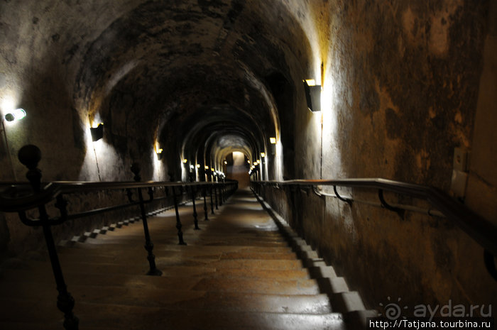 По маршрутам Шампани: Дом Мадам Поммери