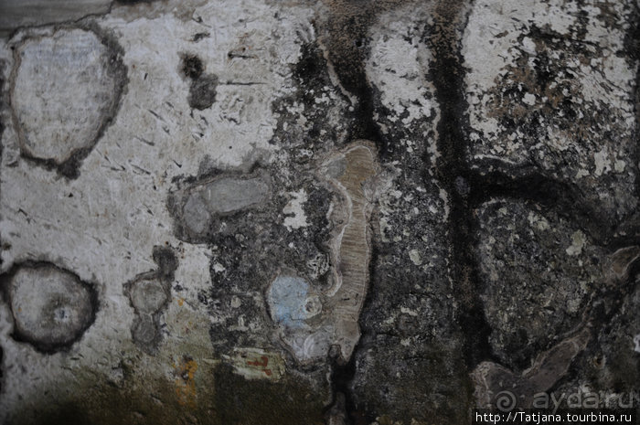 По маршрутам Шампани: Дом Мадам Поммери