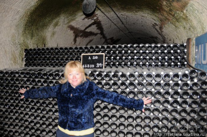 По маршрутам Шампани: Дом Мадам Поммери