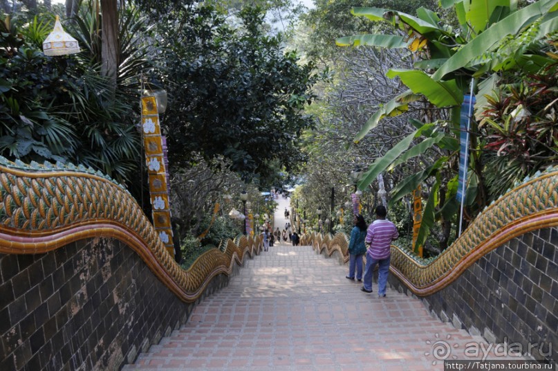 Ват Пхра Тхат Дой Сутхеп и лестница Нагов.