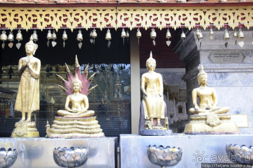 Ват Пхра Тхат Дой Сутхеп и лестница Нагов.