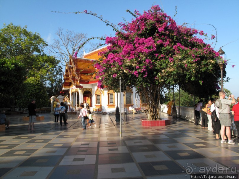 Ват Пхра Тхат Дой Сутхеп и лестница Нагов.