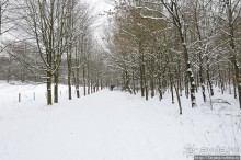 Когда в Голландии жизнь замирает?
