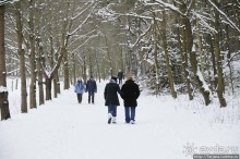 Когда в Голландии жизнь замирает?