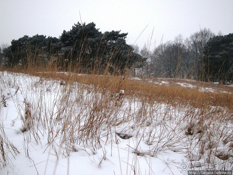 Когда в Голландии жизнь замирает?