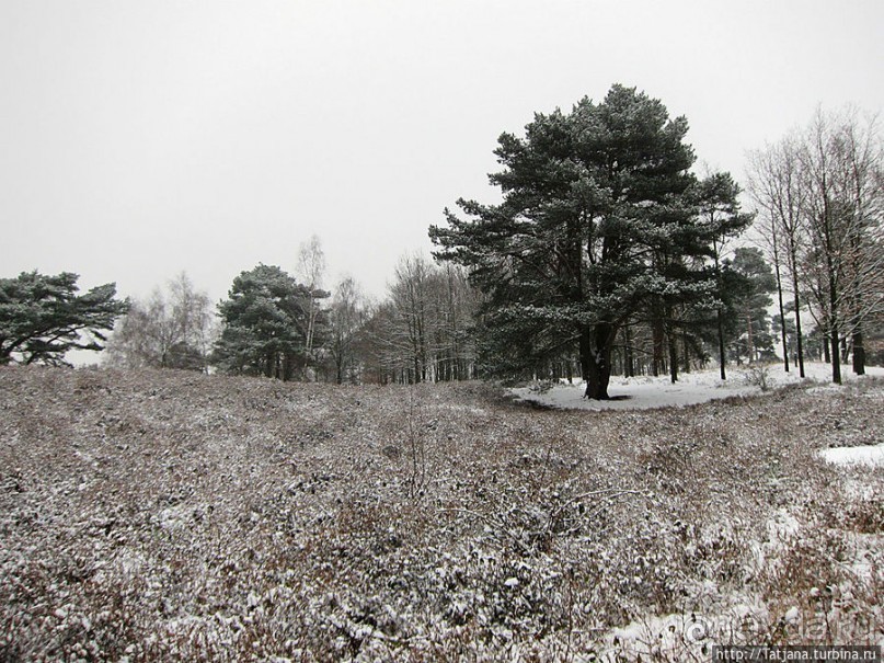 Когда в Голландии жизнь замирает?