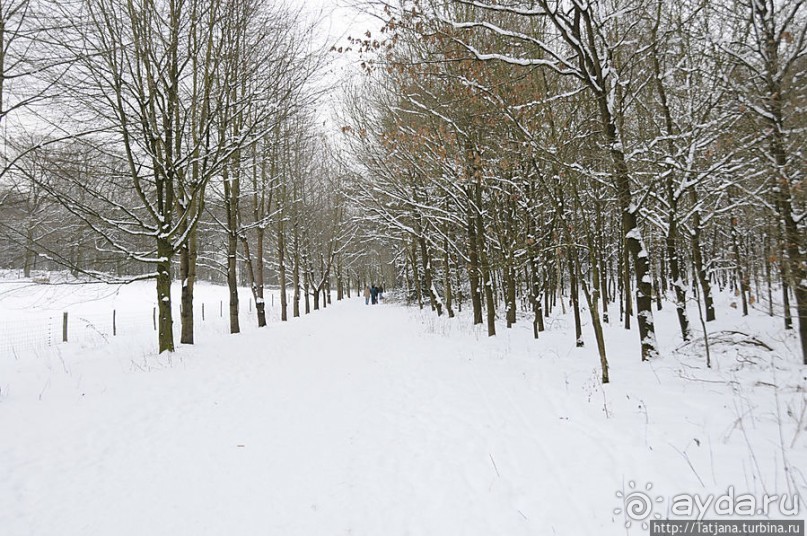 Когда в Голландии жизнь замирает?
