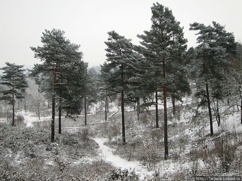 Когда в Голландии жизнь замирает?