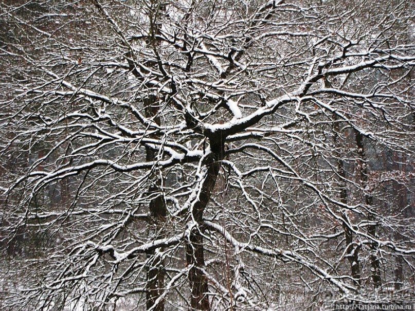 Когда в Голландии жизнь замирает?