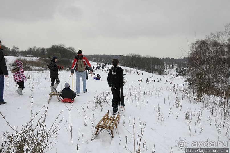 Когда в Голландии жизнь замирает?
