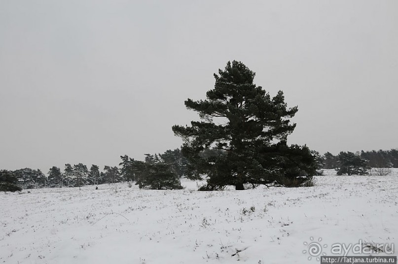 Когда в Голландии жизнь замирает?