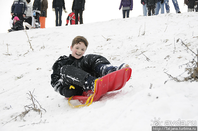 Когда в Голландии жизнь замирает?