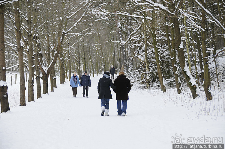 Когда в Голландии жизнь замирает?
