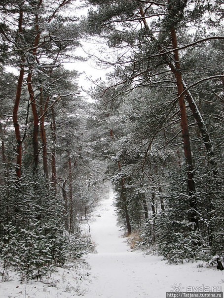 Когда в Голландии жизнь замирает?