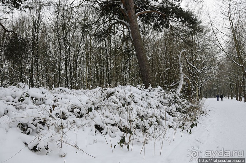Когда в Голландии жизнь замирает?
