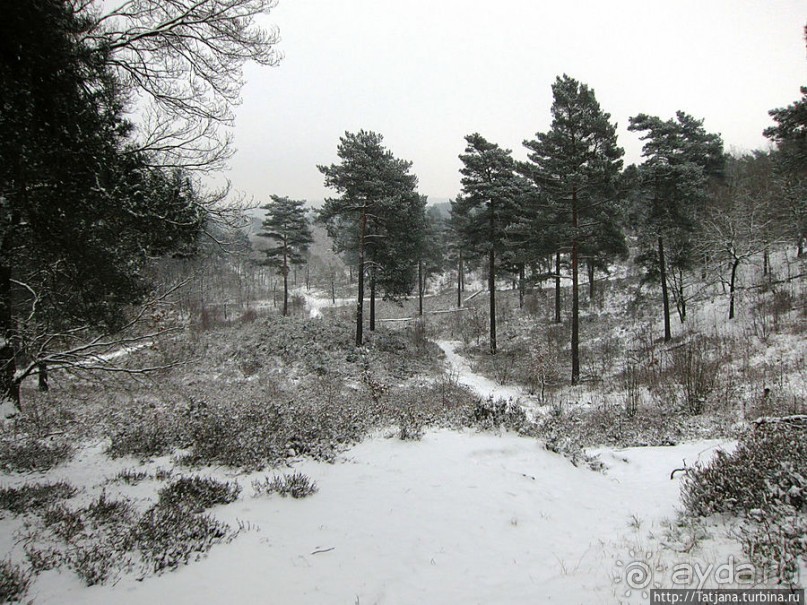 Когда в Голландии жизнь замирает?