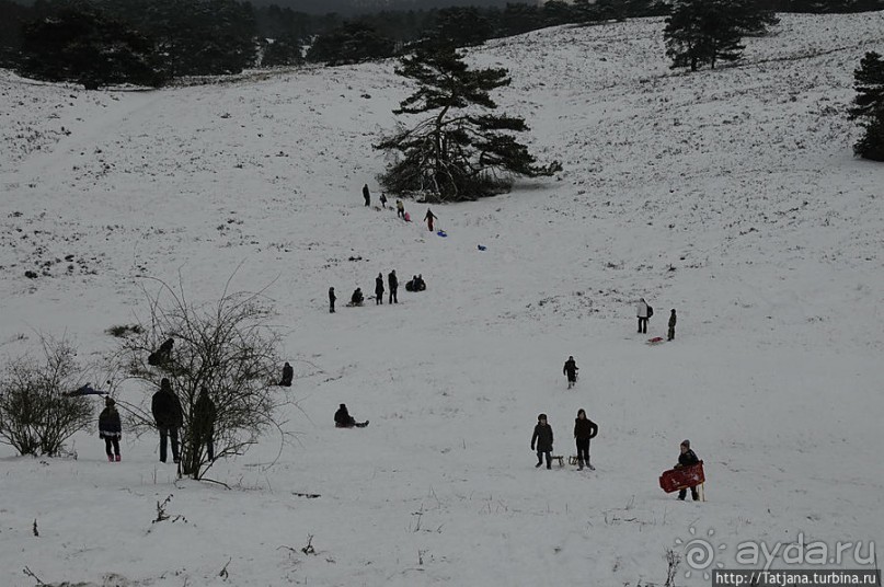 Когда в Голландии жизнь замирает?