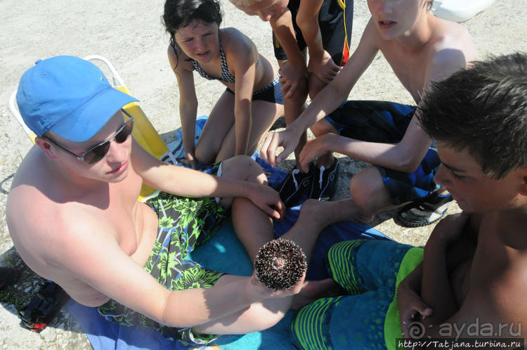 Кемпинг Вi-village Fazana