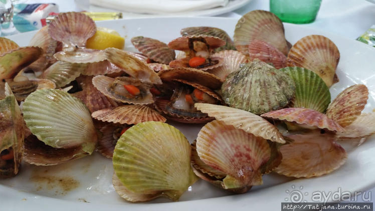 Кемпинг Вi-village Fazana