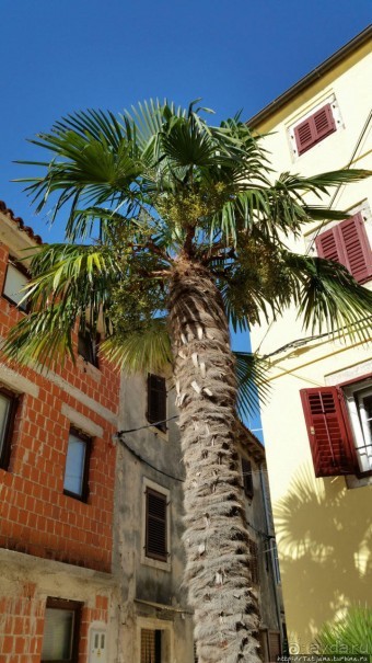 Кемпинг Вi-village Fazana