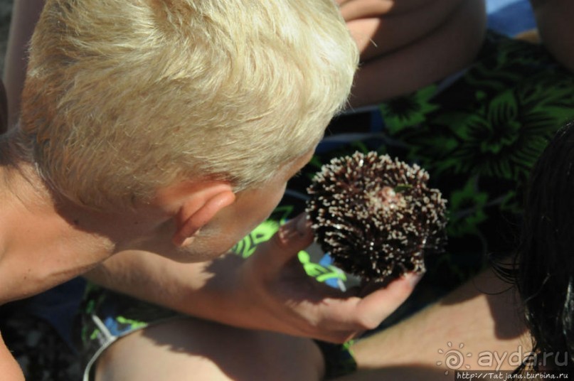 Кемпинг Вi-village Fazana