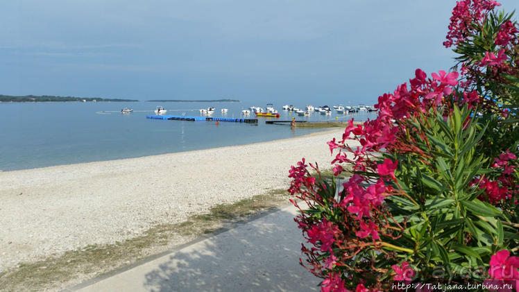 Кемпинг Вi-village Fazana