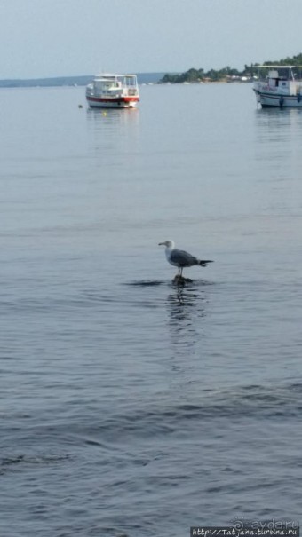 Кемпинг Вi-village Fazana