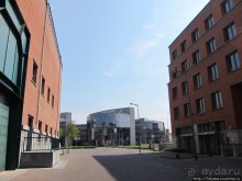 День Королевы в Маастрихте 30 апреля.