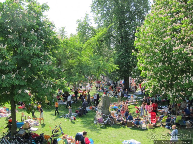 День Королевы в Маастрихте 30 апреля.