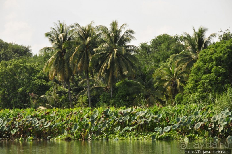 Прелестный плавучий ресторан на реке Квай.
