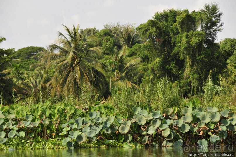 Прелестный плавучий ресторан на реке Квай.