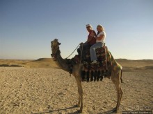 Пирамиды, верблюды и ...Большой Сфинкс