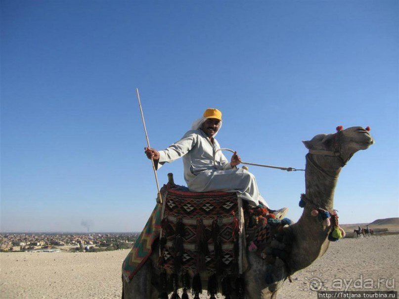 Пирамиды, верблюды и ...Большой Сфинкс