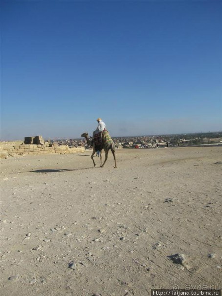 Пирамиды, верблюды и ...Большой Сфинкс