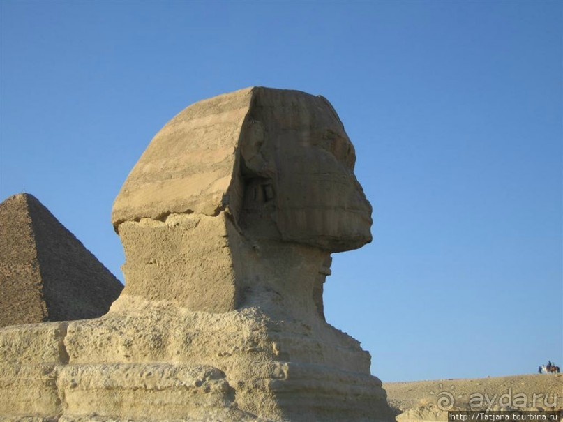 Пирамиды, верблюды и ...Большой Сфинкс