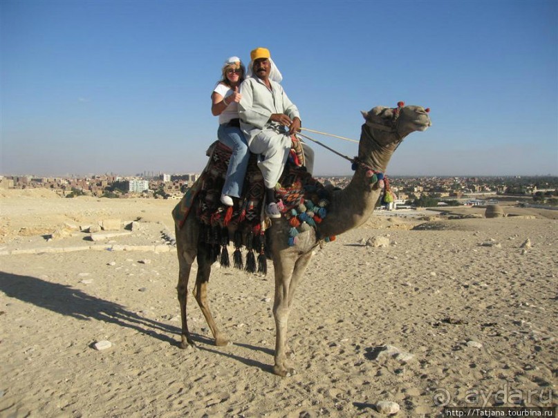 Пирамиды, верблюды и ...Большой Сфинкс