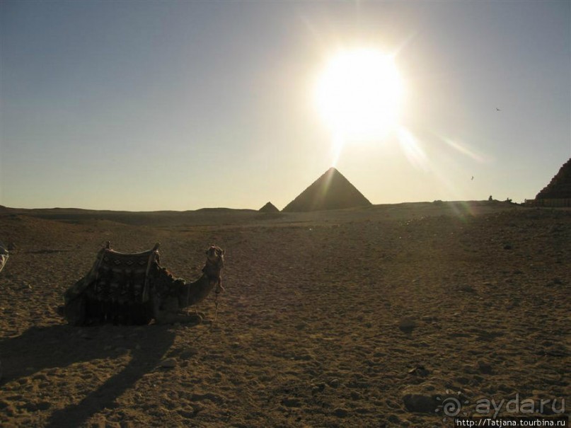 Пирамиды, верблюды и ...Большой Сфинкс