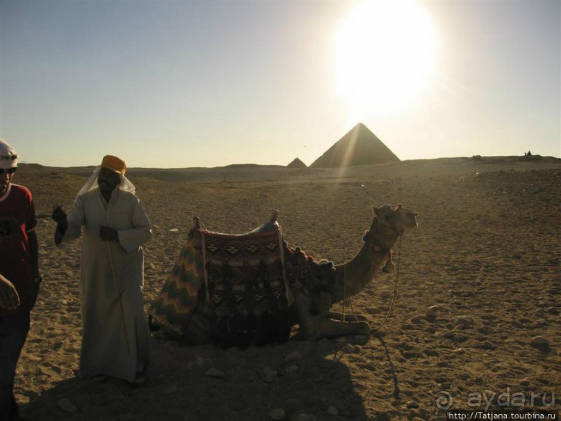 Пирамиды, верблюды и ...Большой Сфинкс