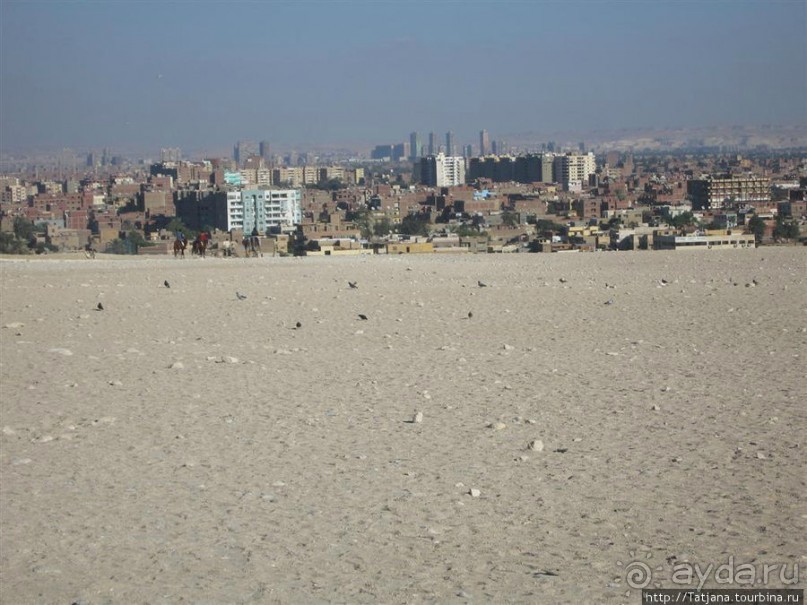 Пирамиды, верблюды и ...Большой Сфинкс