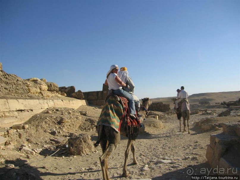 Пирамиды, верблюды и ...Большой Сфинкс