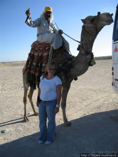 Пирамиды, верблюды и ...Большой Сфинкс