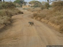 Как мы попали в Эмали и Высшие Силы.
