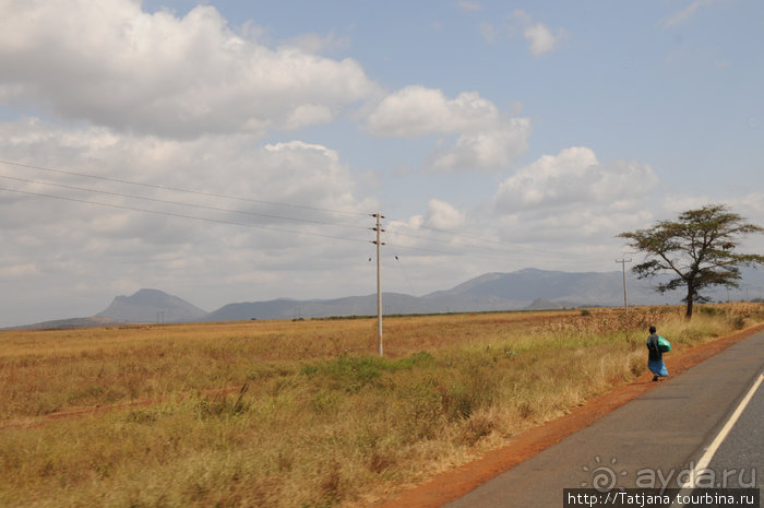 Как мы попали в Эмали и Высшие Силы.
