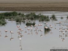 Как мы попали в Эмали и Высшие Силы.