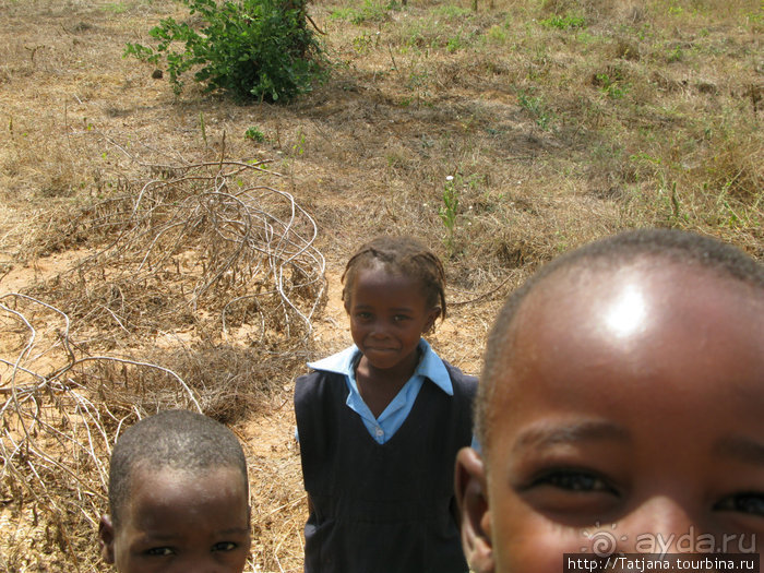 Как мы попали в Эмали и Высшие Силы.