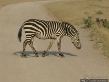 Как мы попали в Эмали и Высшие Силы.