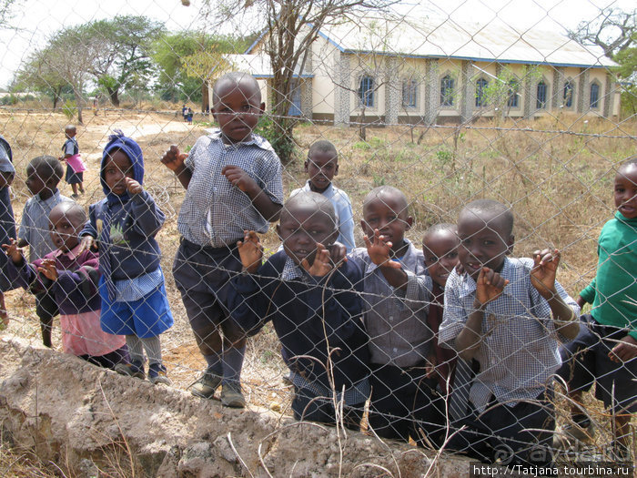 Как мы попали в Эмали и Высшие Силы.