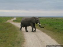 Как мы попали в Эмали и Высшие Силы.